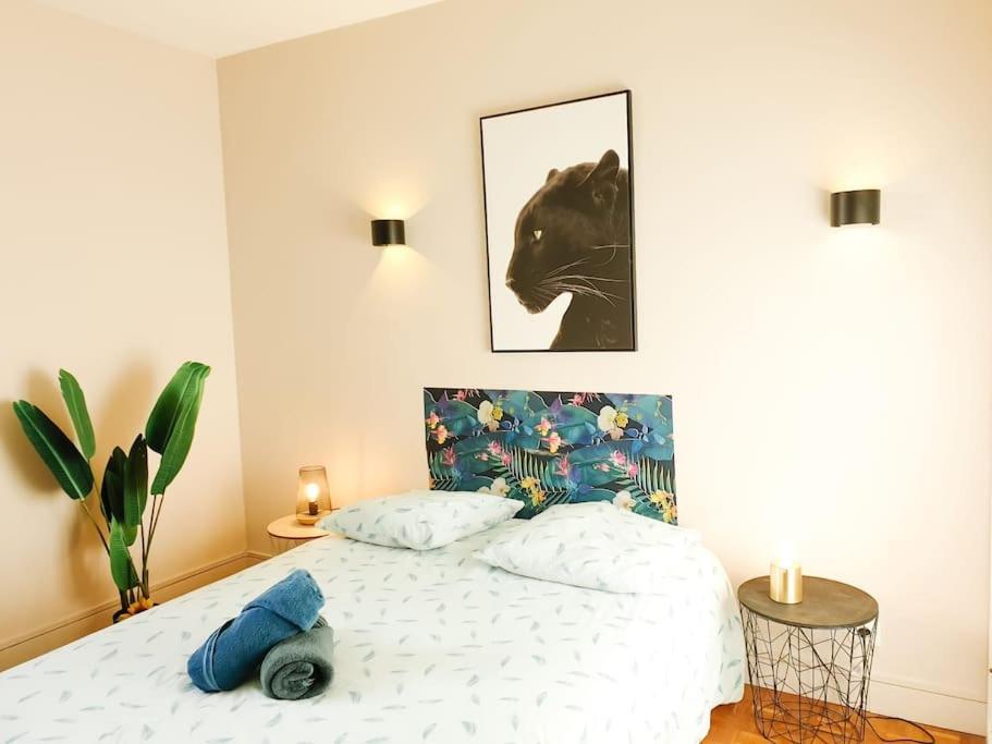 Cosy Mure 4Ch - Stationnement Gratuit Pau Exteriör bild